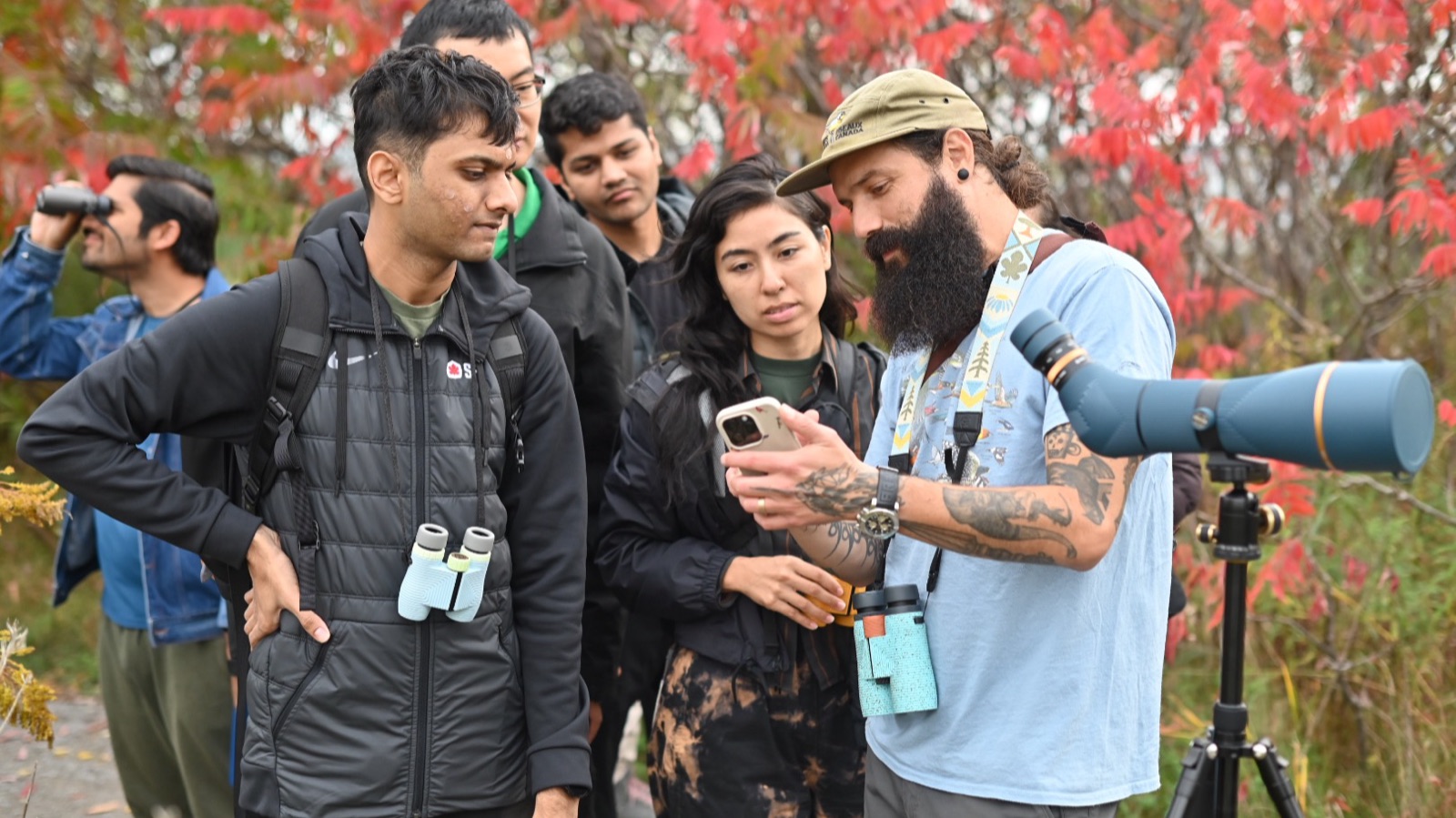 A group on a trail with binoculars and a spotting scope, looking together at a phone, in front of a stand of red sumac.